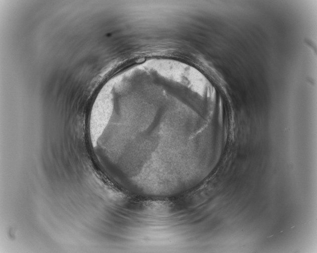 X0000102020107200808151325