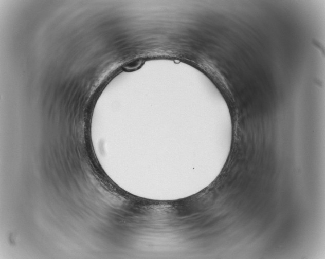 X0000102020108200808151325