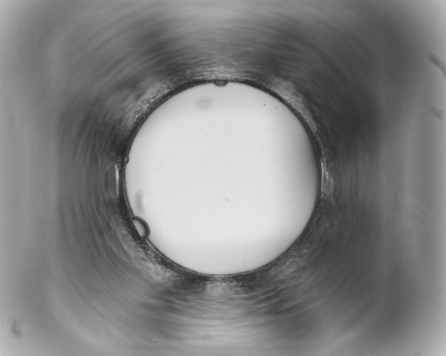 X0000102020109200808151325