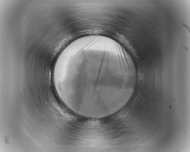 X0000102020110200808151325