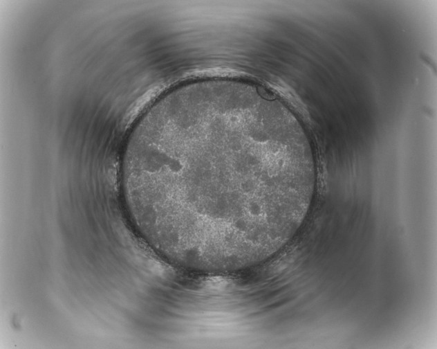 X0000102020111200808151325