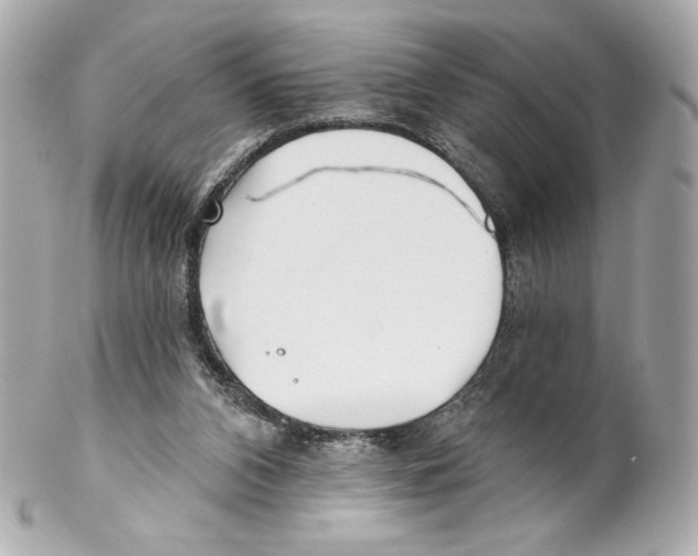 X0000102020112200808151325