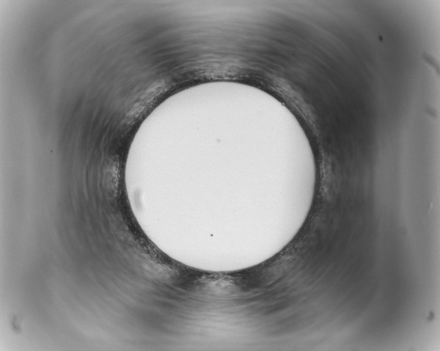 X0000102020113200808151325