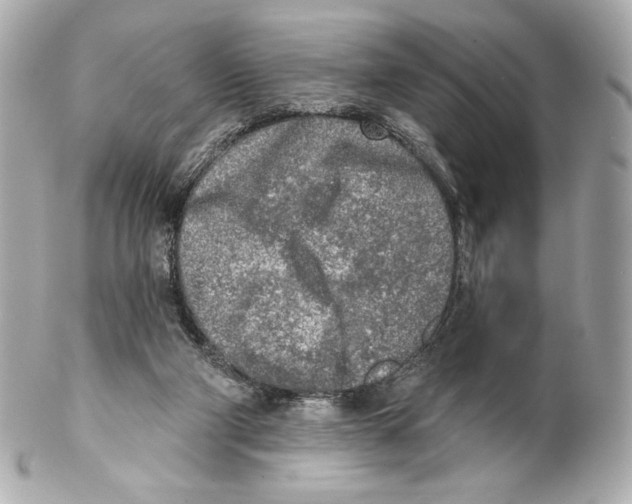 X0000102020114200808151325