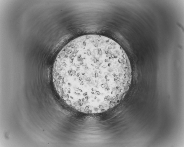 X0000102020115200808151325