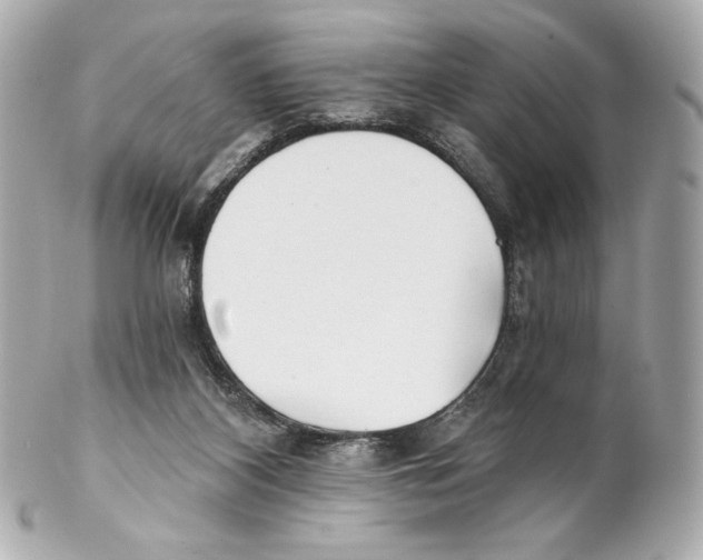 X0000102020116200808151325