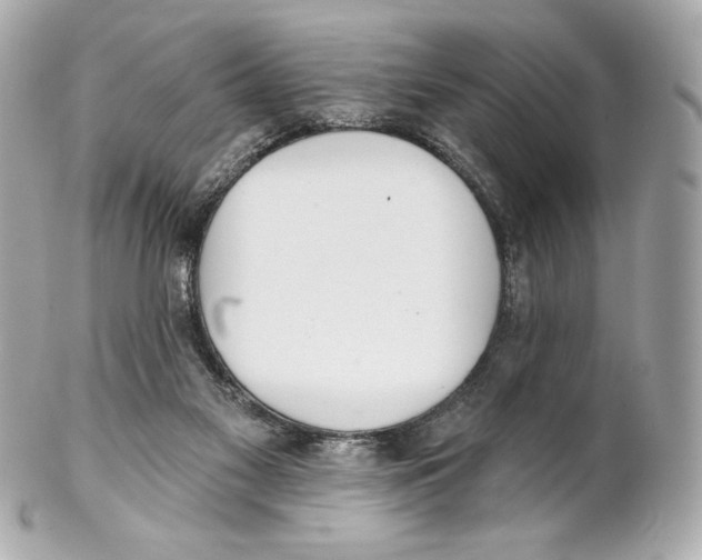 X0000102020117200808151325