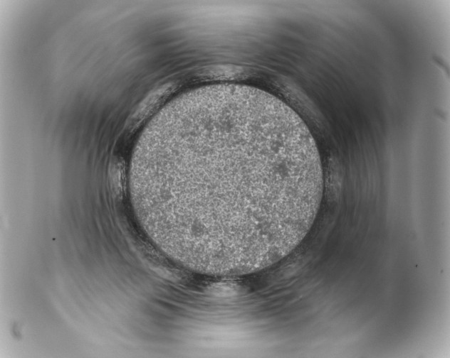X0000102020119200808151325