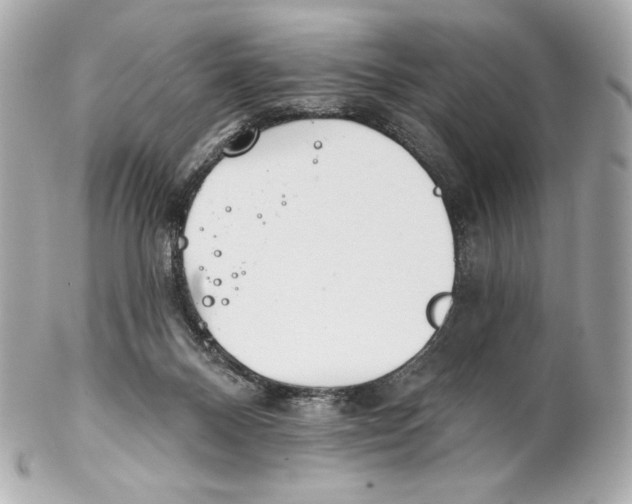 X0000102020120200808151325