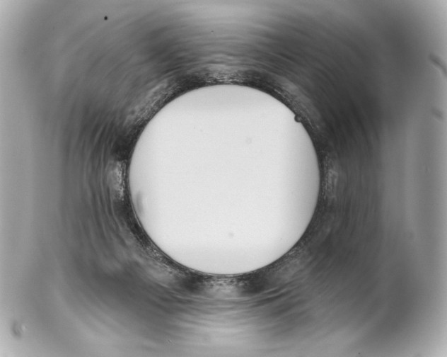 X0000102020121200808151325