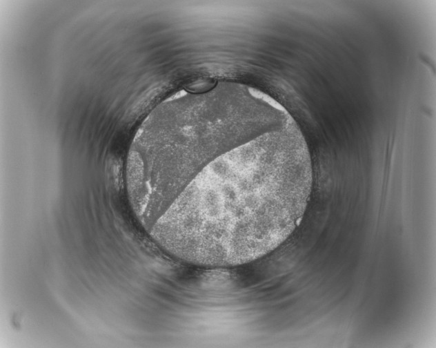 X0000102020123200808151325