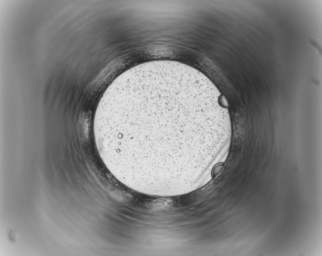 X0000102020124200808151325