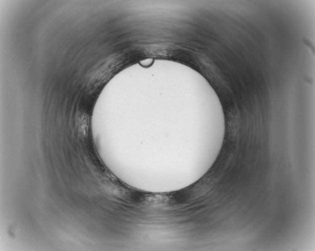 X0000102020125200808151325