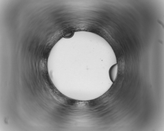 X0000102020126200808151325