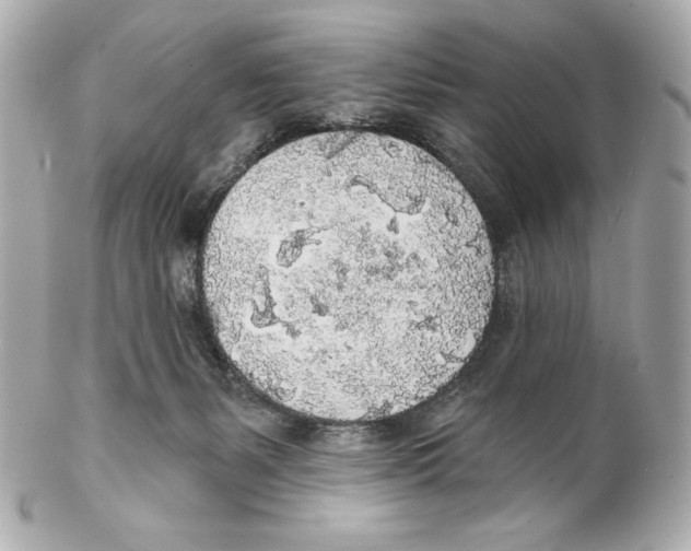 X0000102020127200808151325