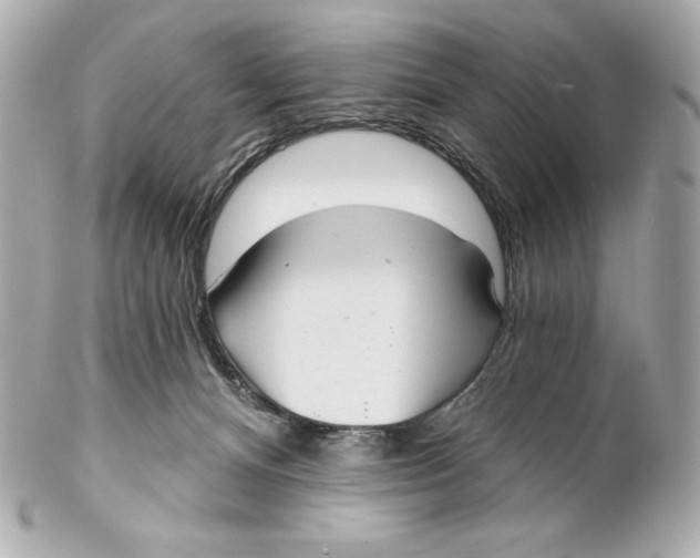 X0000102020128200808151325