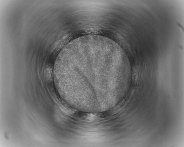 X0000102020130200808151325