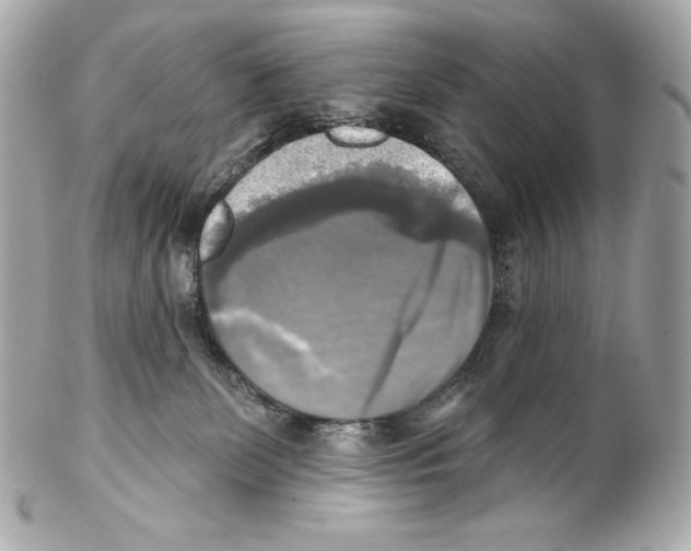 X0000102020131200808151325