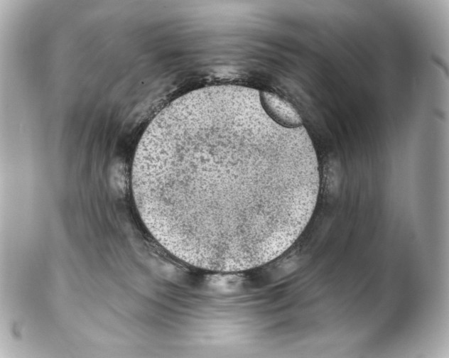 X0000102020135200808151325