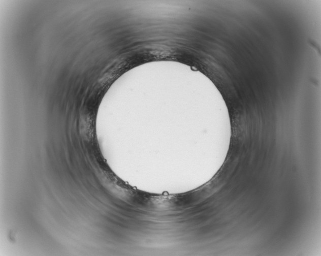 X0000102020136200808151325