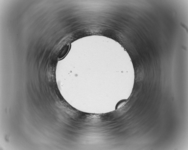 X0000102020140200808151325