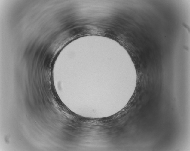 X0000102020146200808151324
