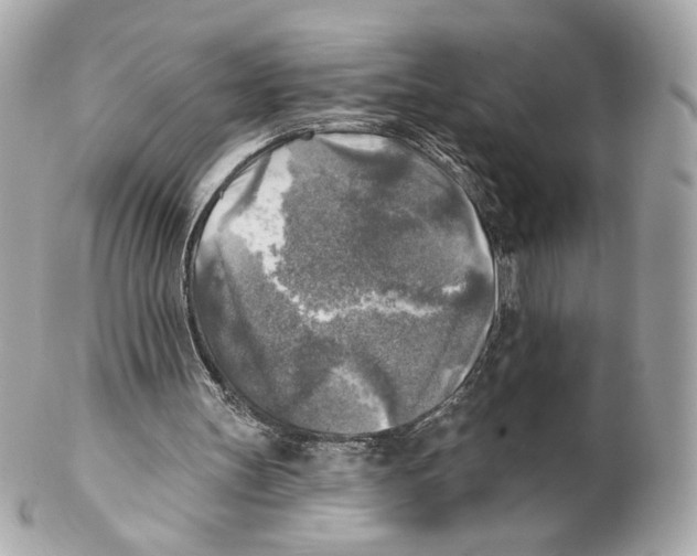 X0000102020147200808151324