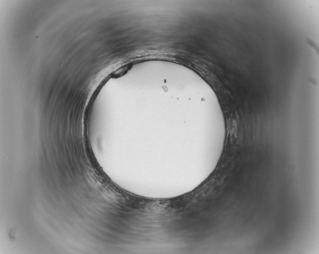 X0000102020148200808151324