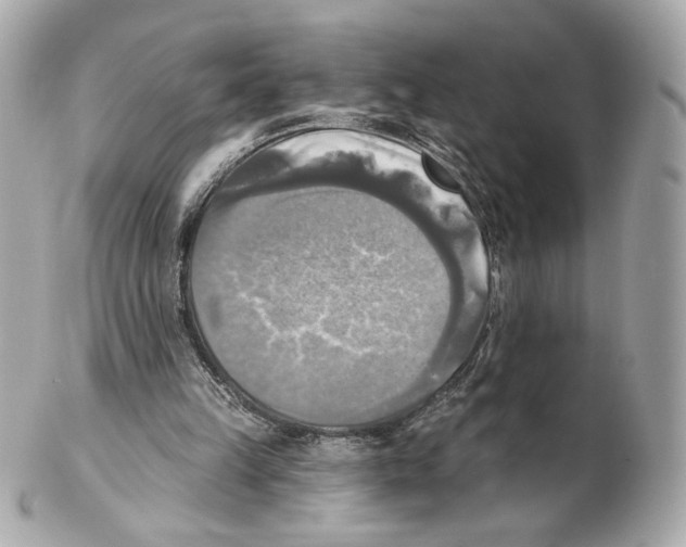X0000102020149200808151324