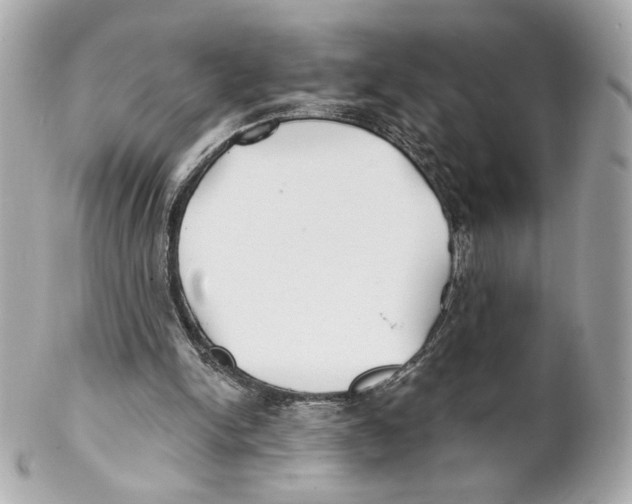 X0000102020150200808151324