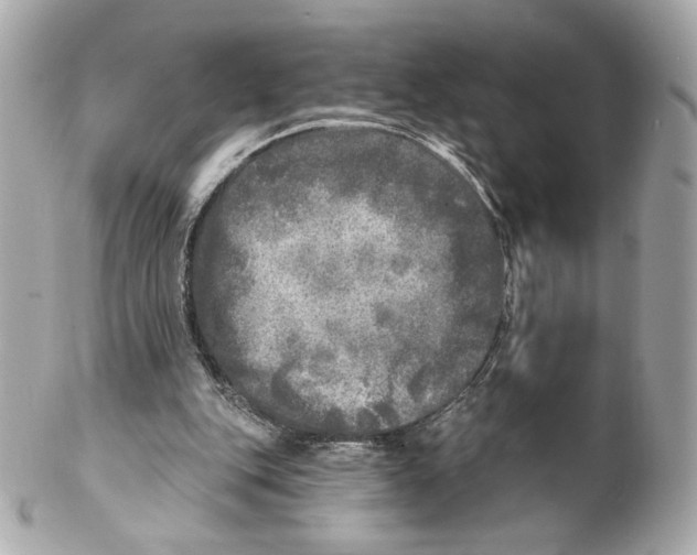 X0000102020151200808151324