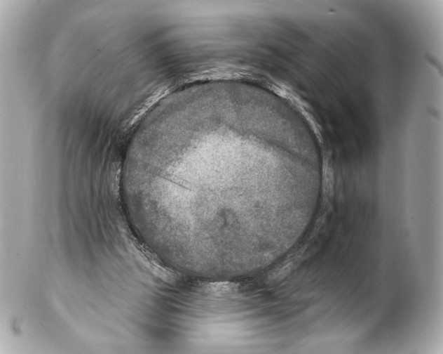 X0000102020153200808151324