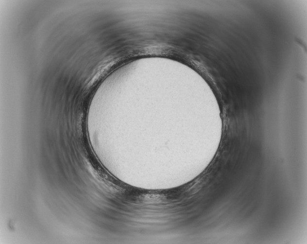 X0000102020154200808151324