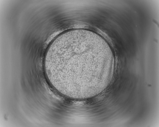 X0000102020155200808151324