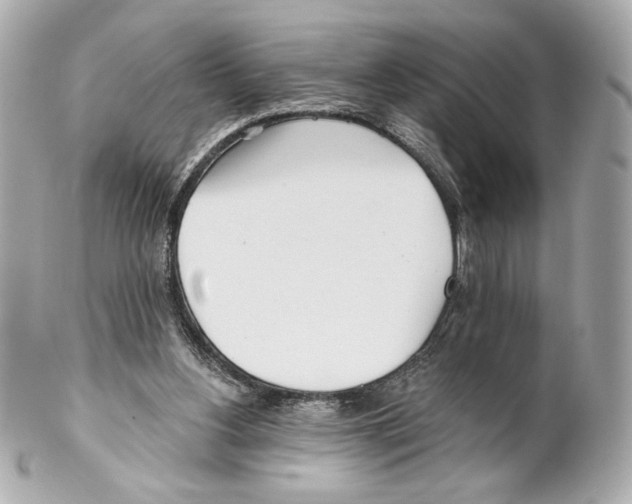 X0000102020156200808151324