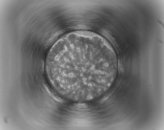 X0000102020157200808151324