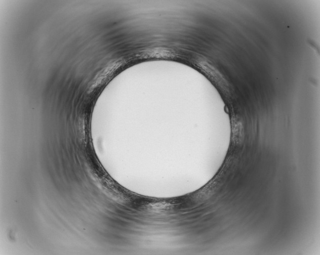 X0000102020158200808151324
