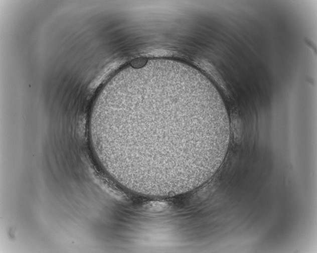 X0000102020159200808151324