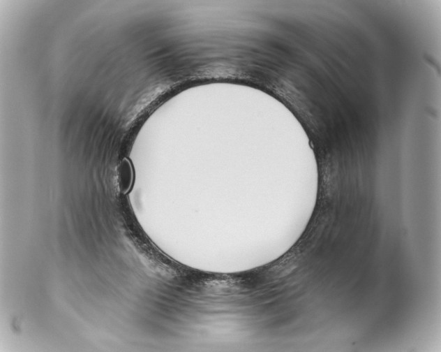 X0000102020160200808151324