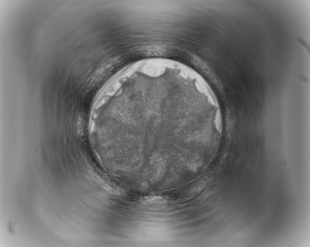 X0000102020161200808151324
