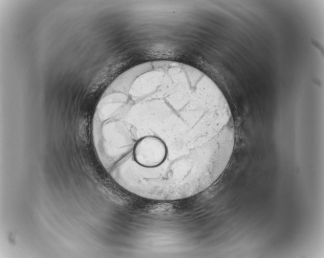 X0000102020162200808151324