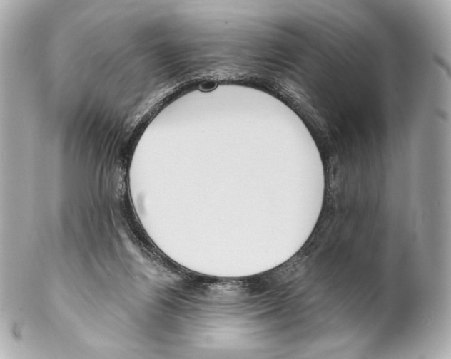X0000102020164200808151324