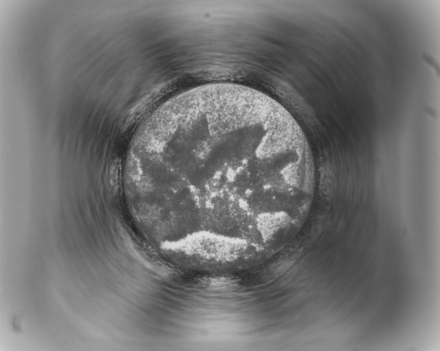 X0000102020165200808151324