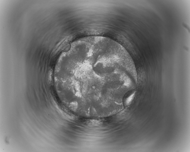X0000102020166200808151324