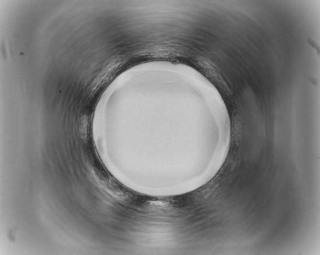 X0000102020167200808151324