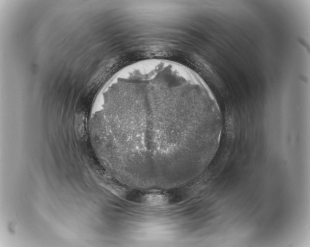 X0000102020169200808151324