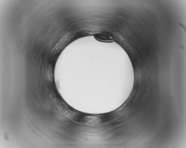 X0000102020170200808151324
