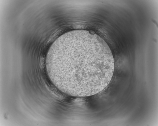 X0000102020171200808151324