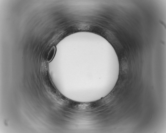 X0000102020172200808151324
