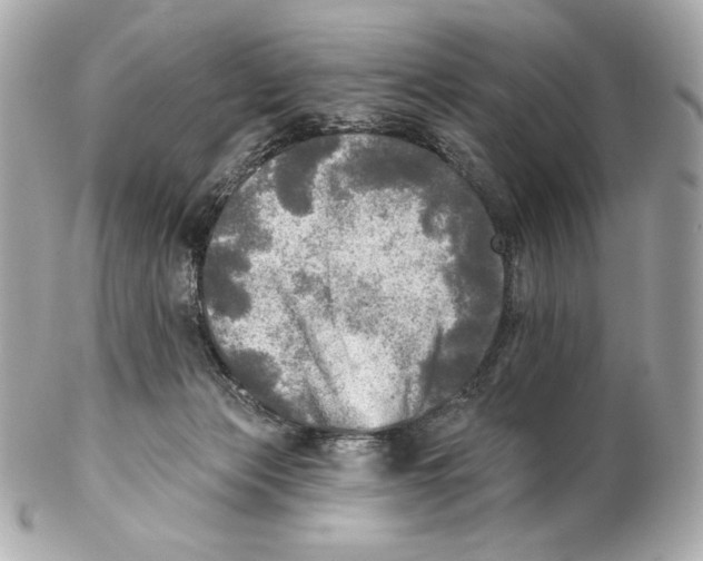 X0000102020173200808151324